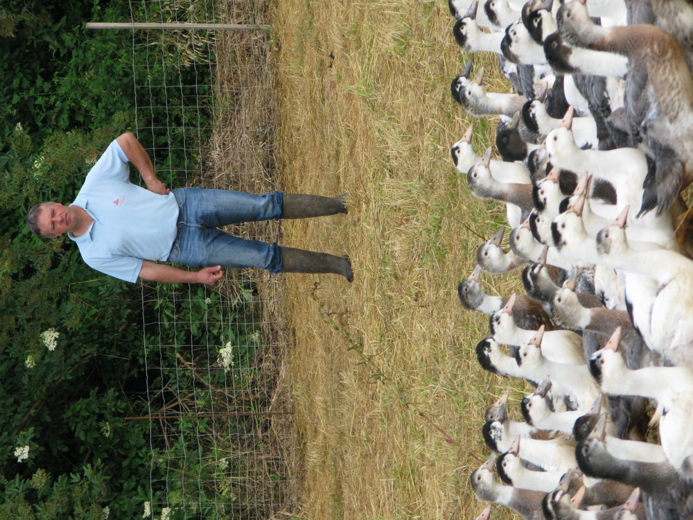 producteur de foie gras de canard du sud-ouest 