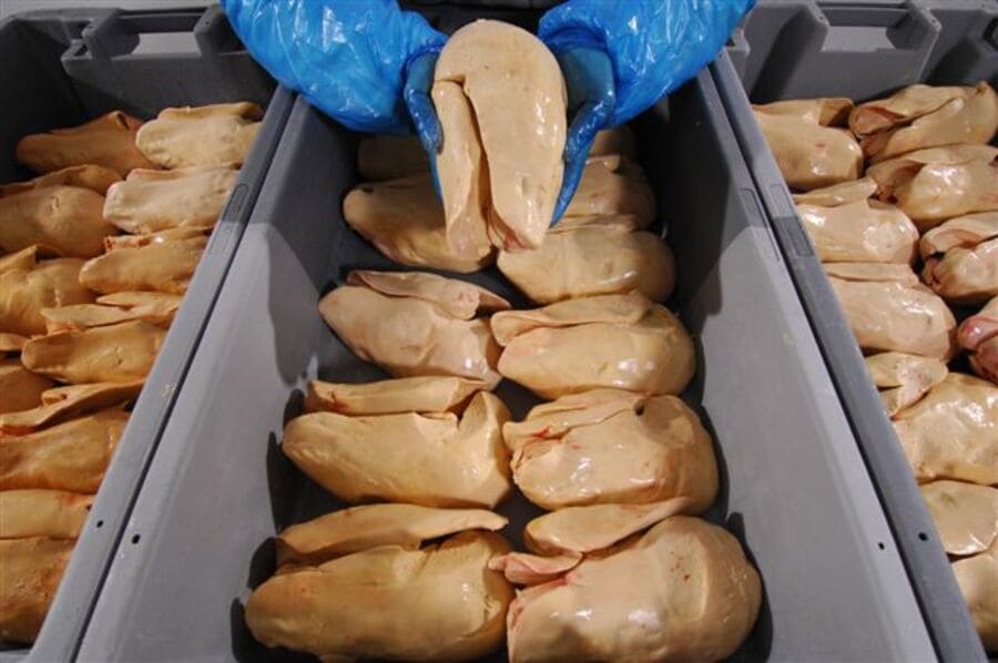 Photo d’une étape de production de foie gras de canard